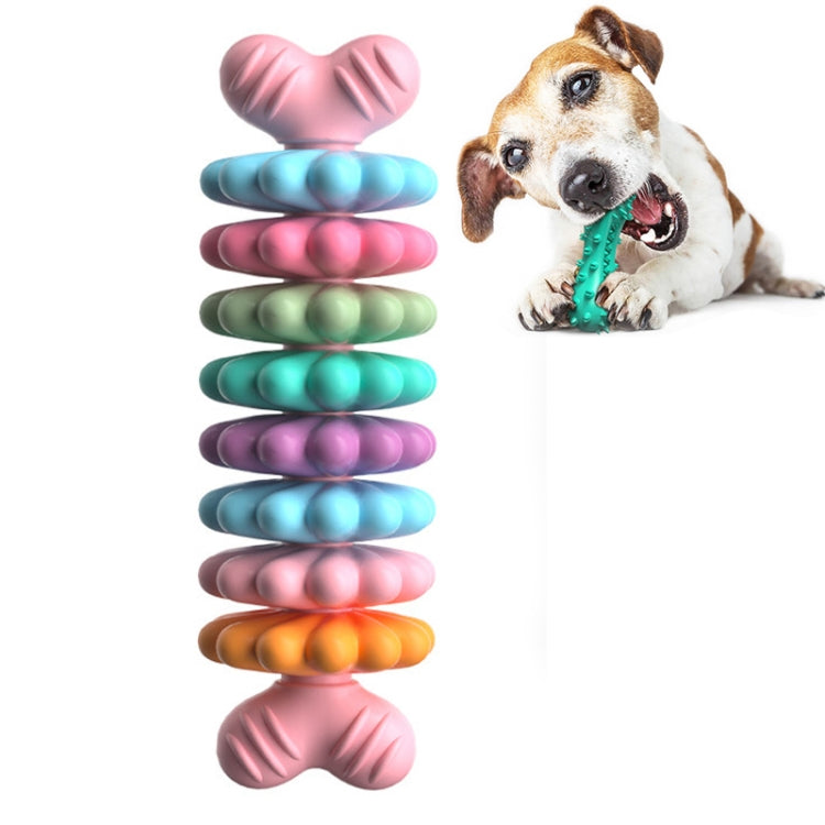 BG5051 Pet Chew Toys Bone Shape Dog Teething Sticky
