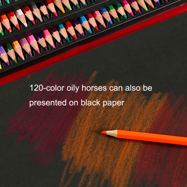 Oil Colored Pencil Art Hand Drawn Set
