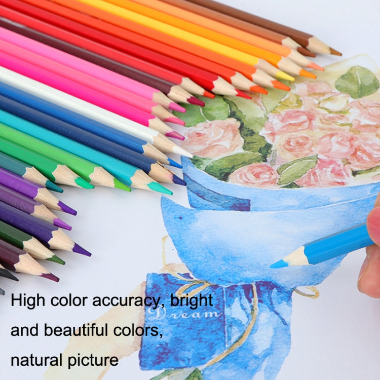 Oil Colored Pencil Art Hand Drawn Set