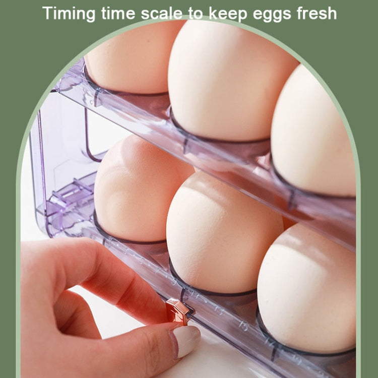 Refrigerator Flip-Type Eggs Storage Rack Egg Fresh-keeping Box