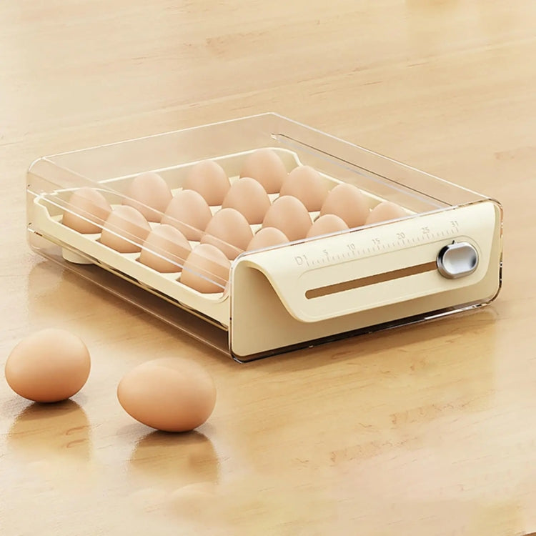 Egg Storage Box PET Transparent Multi-Specification Egg Box