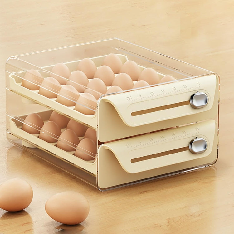 Egg Storage Box PET Transparent Multi-Specification Egg Box