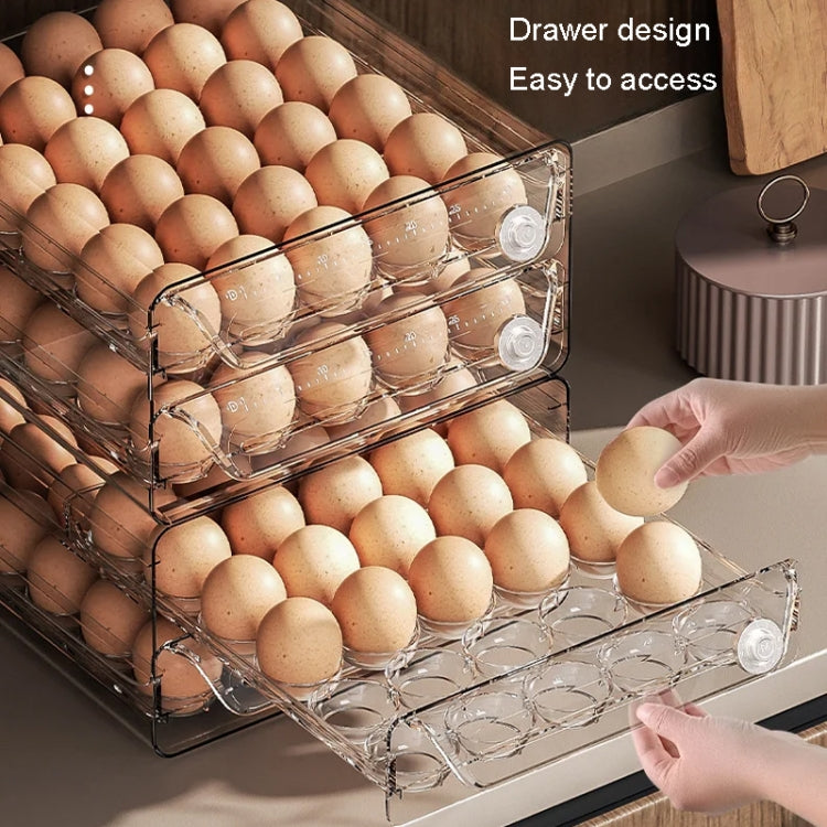 Egg Storage Box PET Transparent Multi-Specification Egg Box