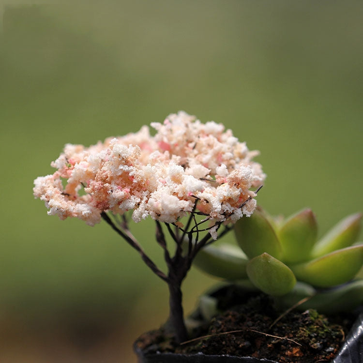 5pcs Micro Landscape Ornaments Simulated Christmas Trees Succulent Accessories Materials