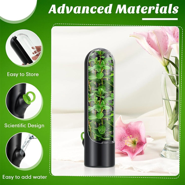 Herb Crisper Vegetable Keep Fresh Container Cilantro Herb Storage Container