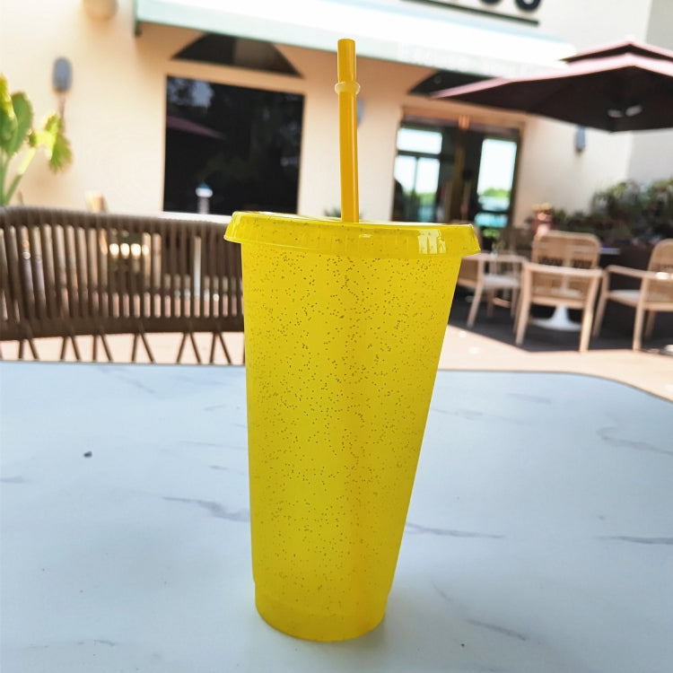 Summer Glitter Water Cup Plastic Ice Cold Drink Bottle with Straw