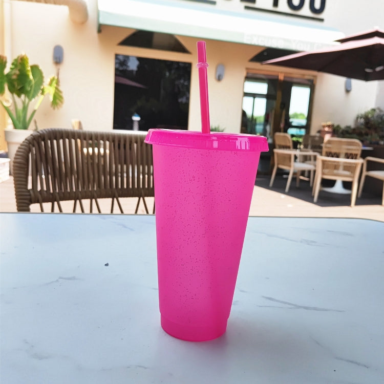 Summer Glitter Water Cup Plastic Ice Cold Drink Bottle with Straw