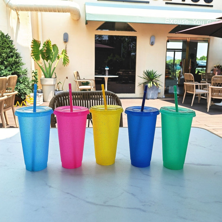 Summer Glitter Water Cup Plastic Ice Cold Drink Bottle with Straw