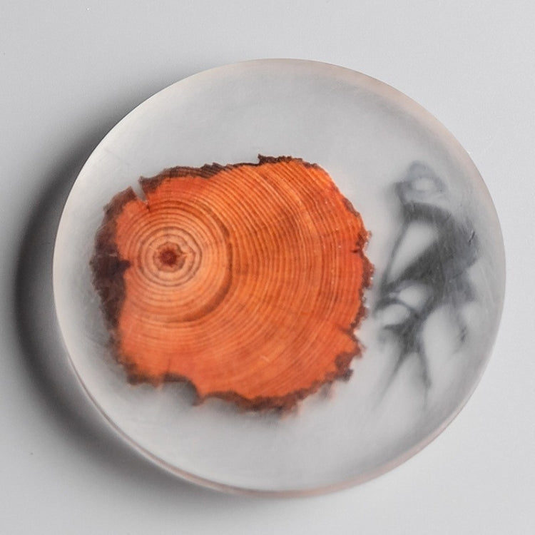 Resin Pine Spliced Insulated Tea Coaster Home Living Room Decoration Accessories