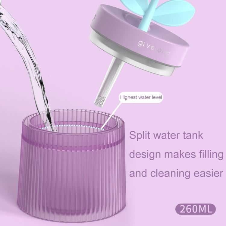 Flower Spray Hhydrating Colorful Atmosphere Light USB Aromatherapy Humidifier