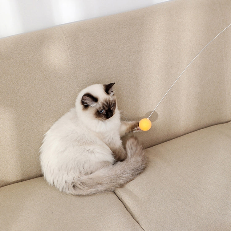 Suction Cup Funny Cat Wand Toy Cat Playing Pole
