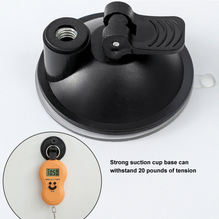Suction Cup Funny Cat Wand Toy Cat Playing Pole