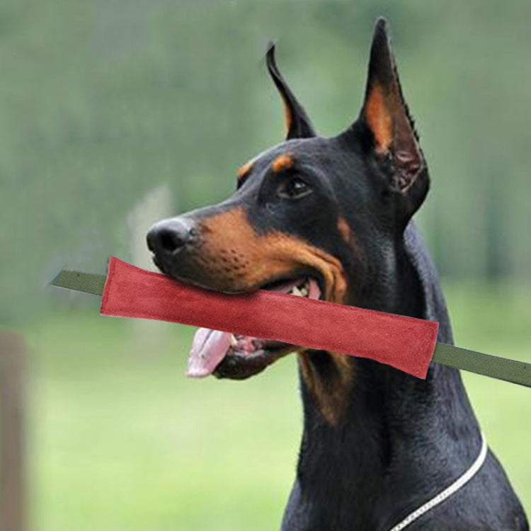 Cowhide Training Dog Bite Stick Pet Toning Toys