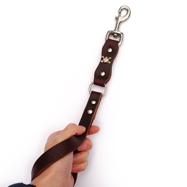 Leather Dog Leash Pet Tow Rope Chain