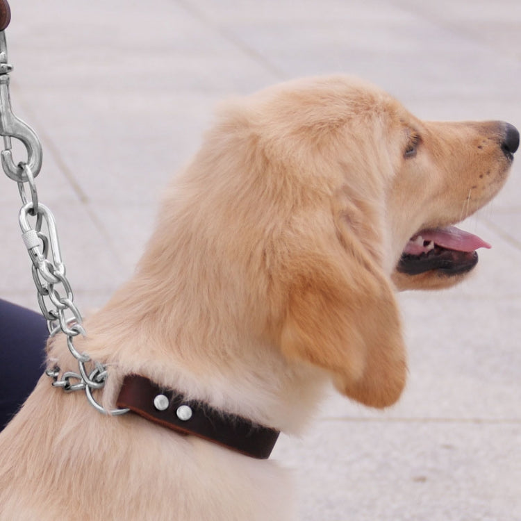 Half P Shape Pet Dog Collar Leather Dog Chain Collar