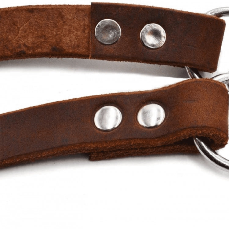 Half P Shape Pet Dog Collar Leather Dog Chain Collar