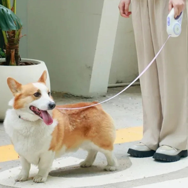 LED Light Luminous Pet Dog Leash Automatic Retractable Dog Walking Leash