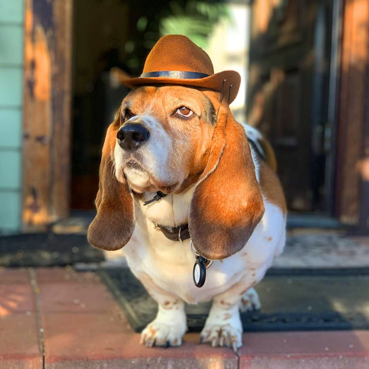 Adjustable Pet Cowboy Hat Dog Cosplay Cap Holiday Costume Party Decoration