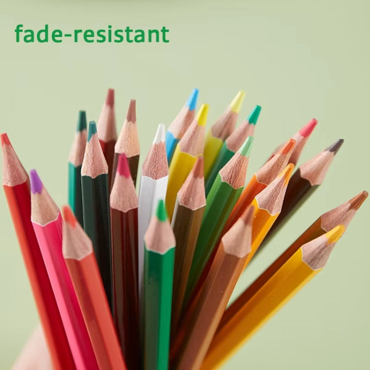 Hand-painted Graffiti Colored Pencil Set
