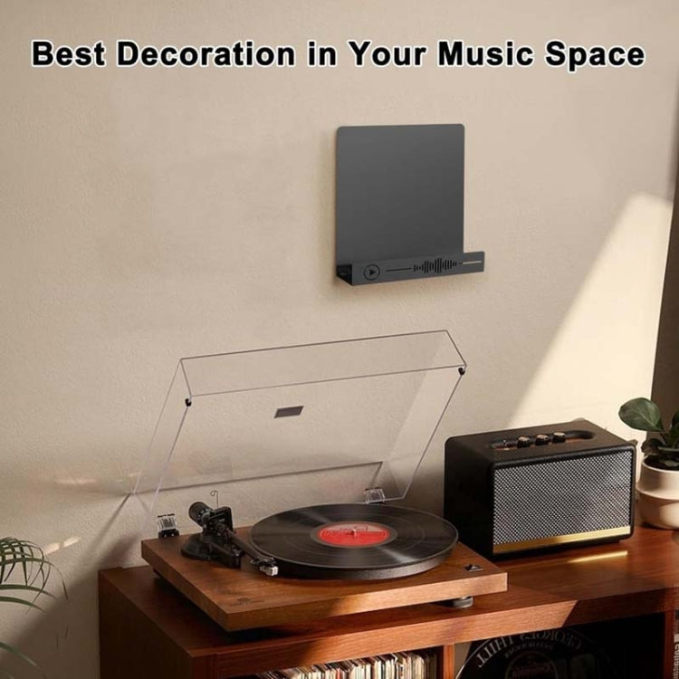 Vinyl Record Storage Wall Mounted Display Rack