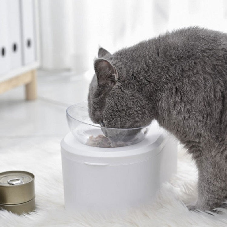 Transparent Pet Bowl Grain Storage Type Neck Protector Oblique Double Bowl