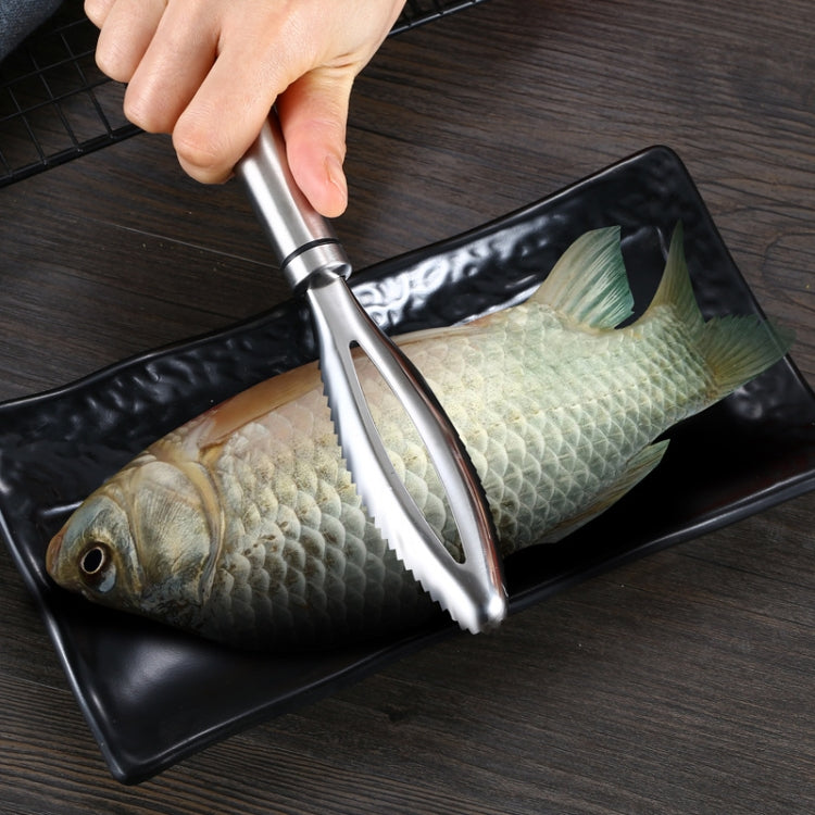 Stainless Steel Fish Scale Planer Household Hand-held Fish Scale Remover